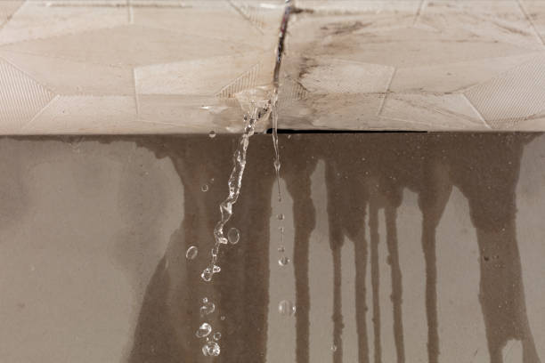 Professional Sewage Cleanup technician working in Milton, MA